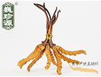 xĲ3l/ ڲ x؛r(ji)234Ԫ/