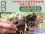 rxĲ շb 1/r(ji)100Ԫ/