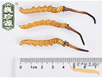 xĲ2l/ ^ڲ x؛r(ji)350Ԫ/
