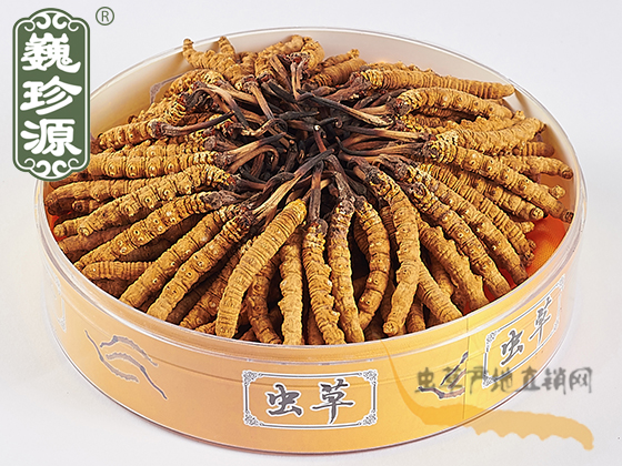 xĲ^ڲ,x^xĲ^ݣx^ڲΡԴx^3l/