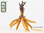 xĲ2l/ ڲ x؛r(ji)306Ԫ/