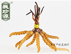 xĲ2.5l/ ڲ x؛r(ji)252Ԫ/